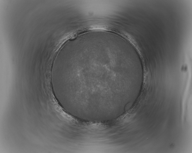 X0000112830385200908211222