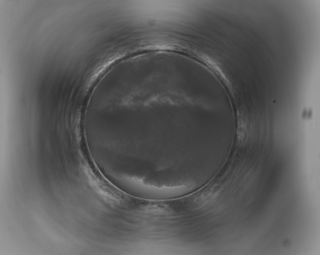 X0000112830386200908211222