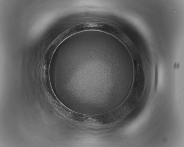 X0000112830387200908211222