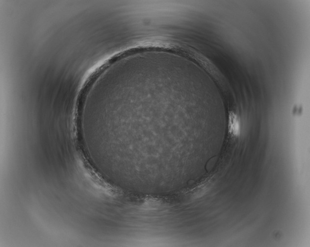 X0000112830388200908211222