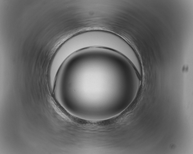 X0000112830389200908211221