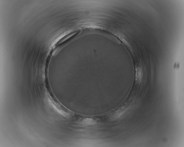 X0000112830390200908211221