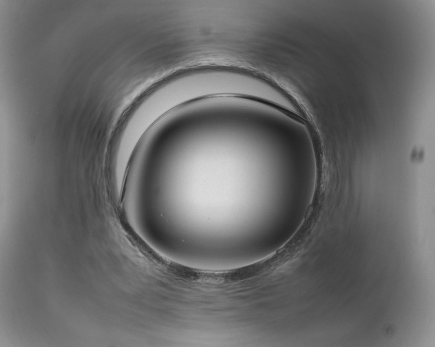 X0000112830391200908211221