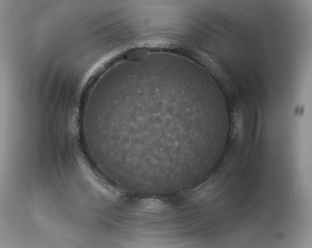 X0000112830392200908211221