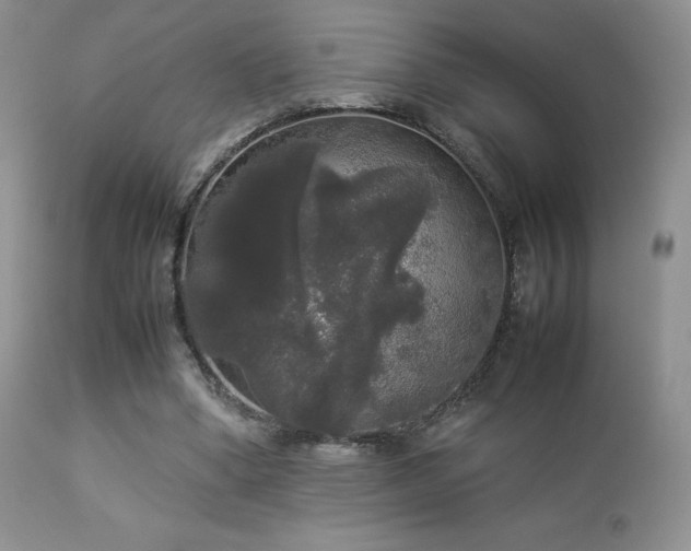 X0000112830394200908211221