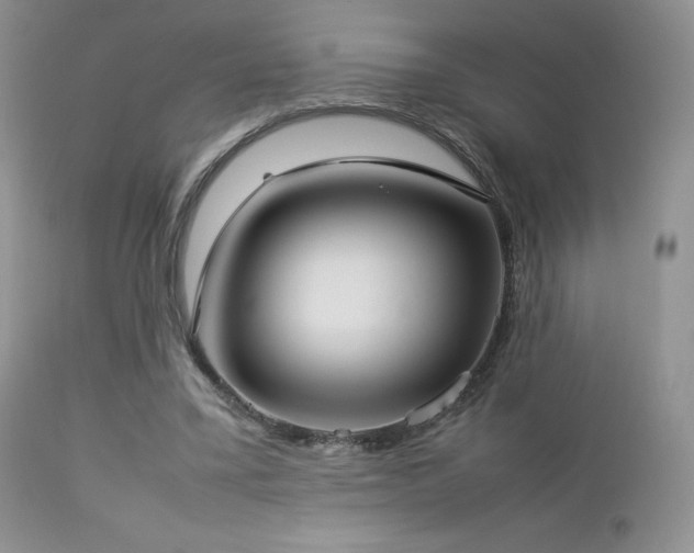 X0000112830395200908211221