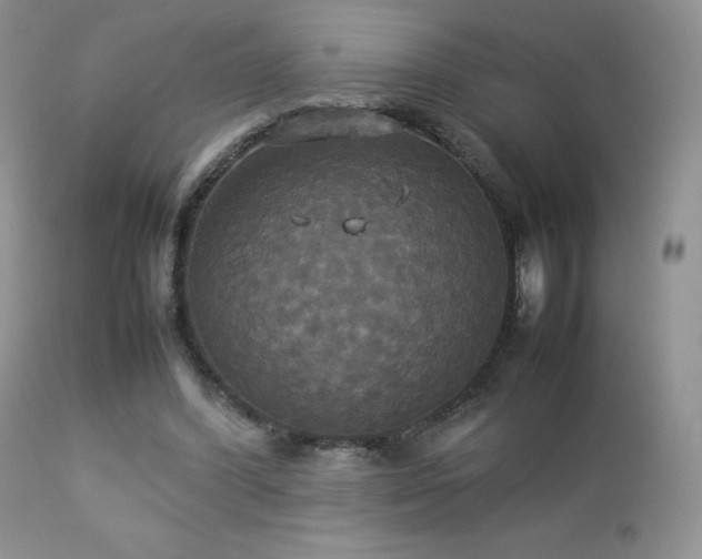 X0000112830396200908211221