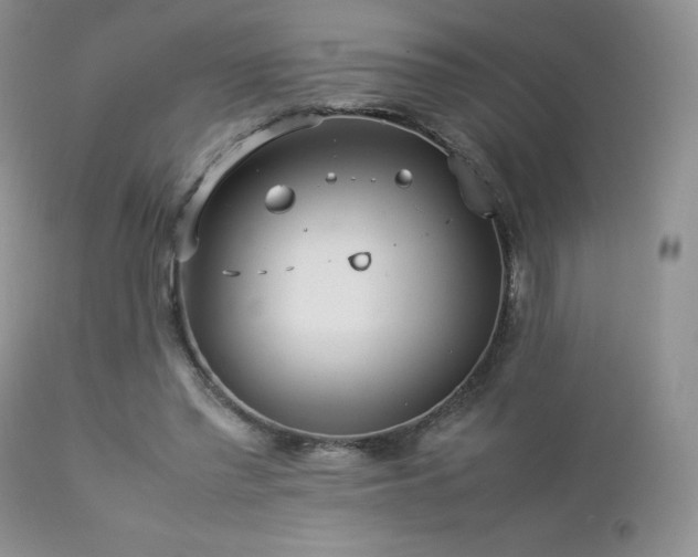 X0000112830397200908211221