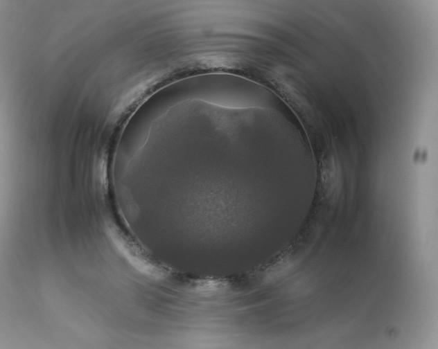 X0000112830398200908211221