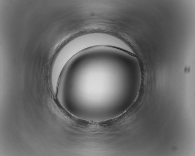 X0000112830399200908211221