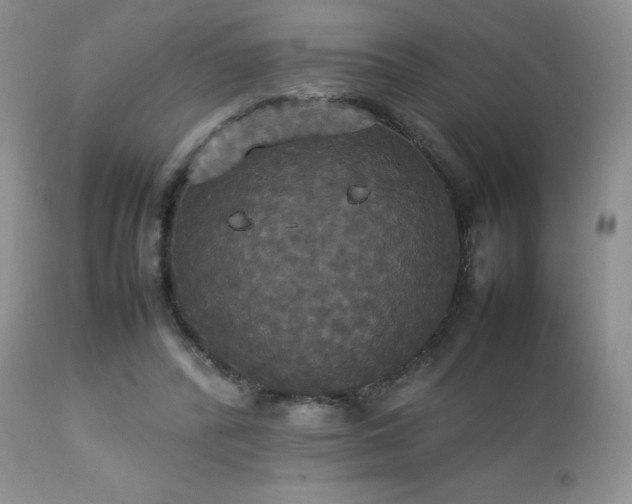 X0000112830400200908211221