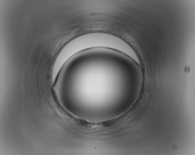 X0000112830401200908211221