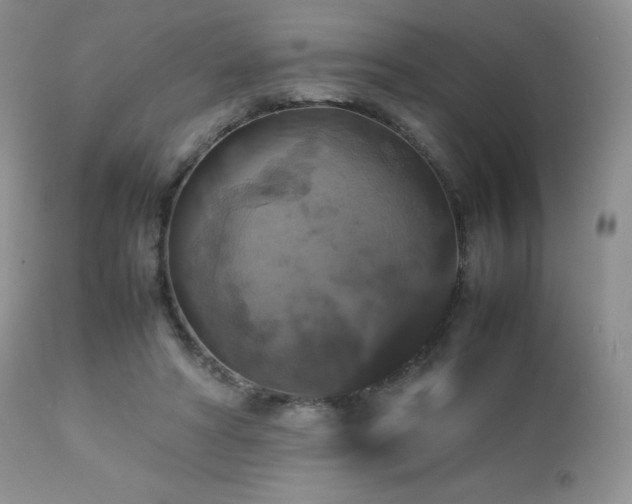 X0000112830402200908211221