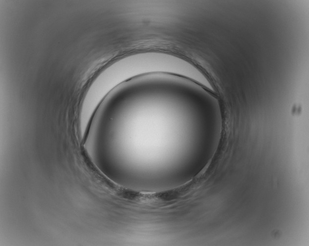 X0000112830403200908211221