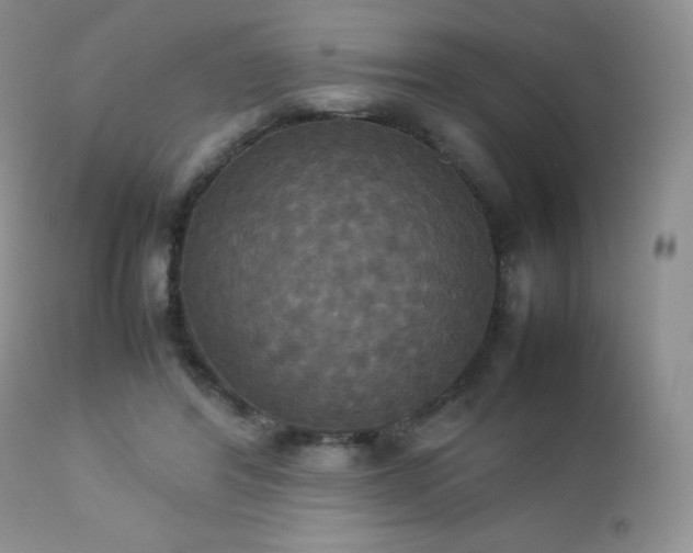 X0000112830404200908211221