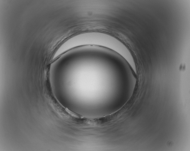 X0000112830405200908211221