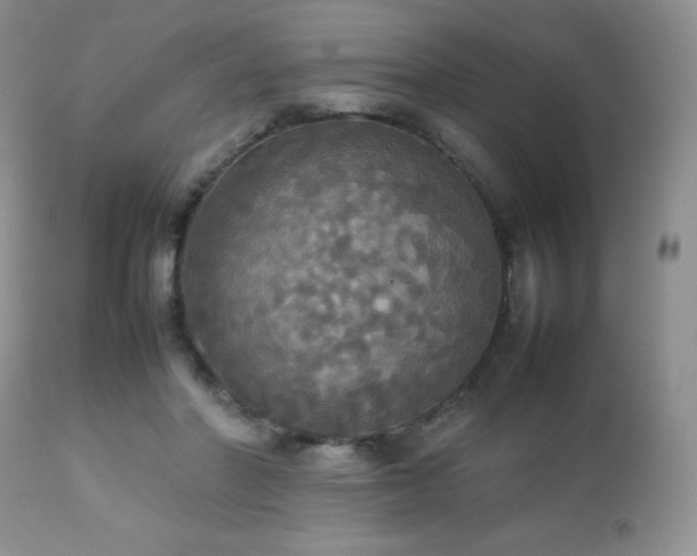 X0000112830406200908211221