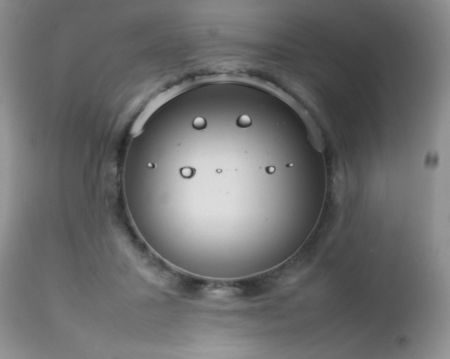 X0000112830407200908211221