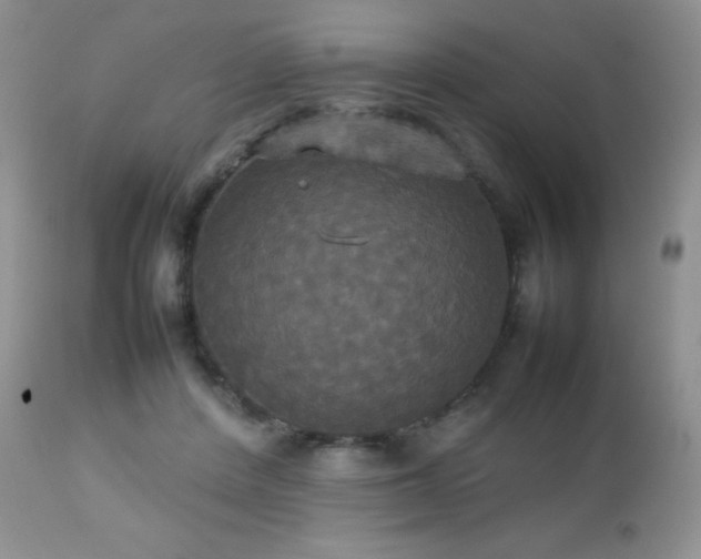 X0000112830408200908211221