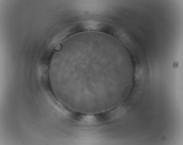 X0000112830409200908211221