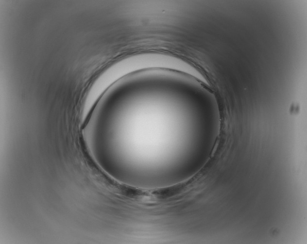 X0000112830411200908211221