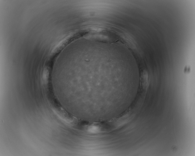 X0000112830412200908211221