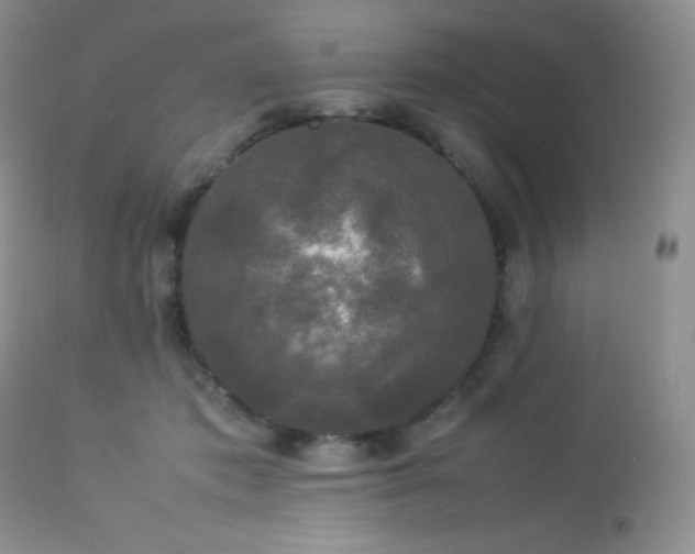 X0000112830413200908211221