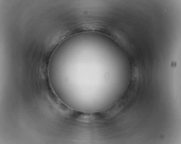 X0000112830414200908211221