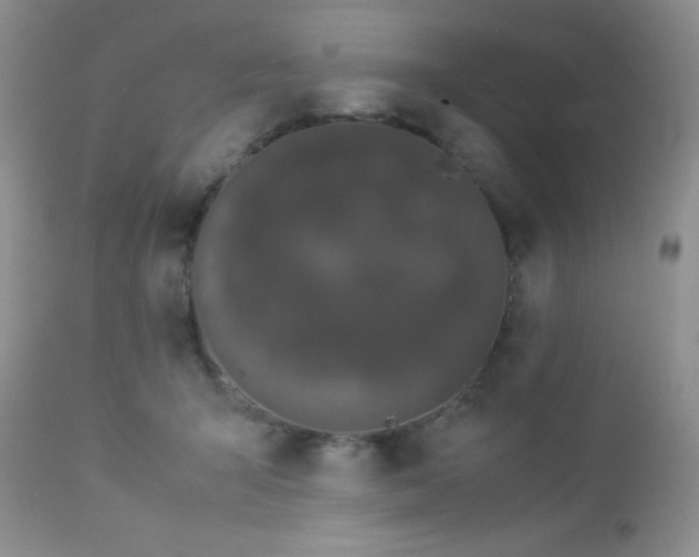 X0000112830415200908211221