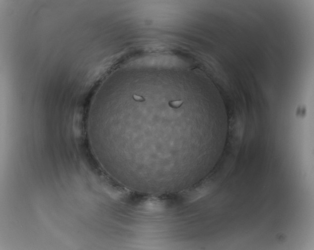 X0000112830416200908211221