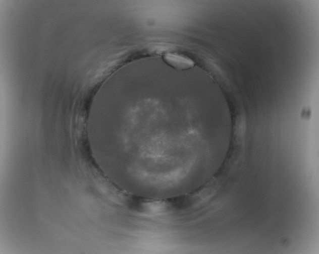 X0000112830417200908211221