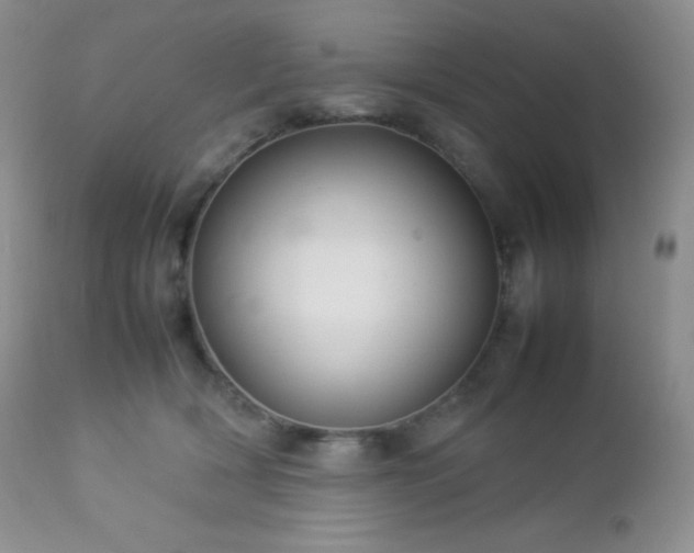 X0000112830418200908211221