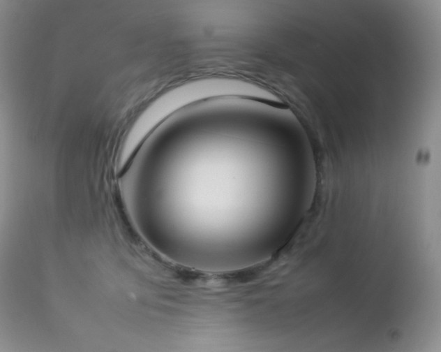 X0000112830419200908211221