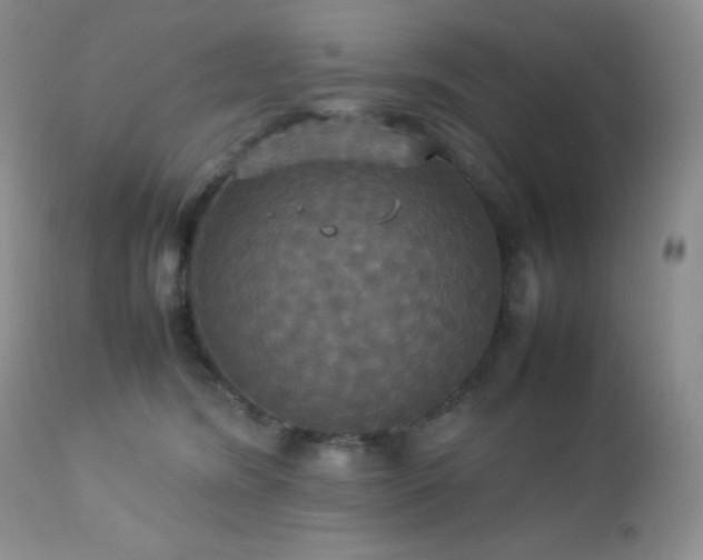 X0000112830420200908211221