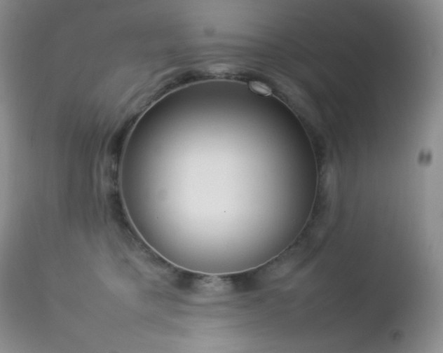 X0000112830421200908211221