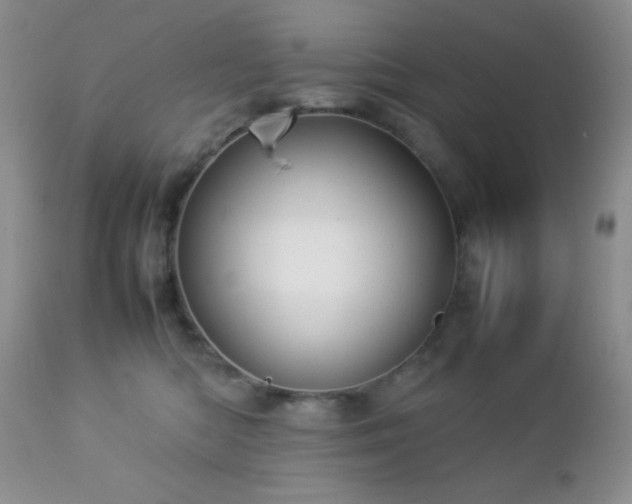 X0000112830422200908211221