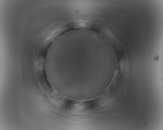 X0000112830423200908211221