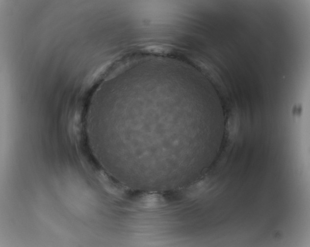 X0000112830424200908211221