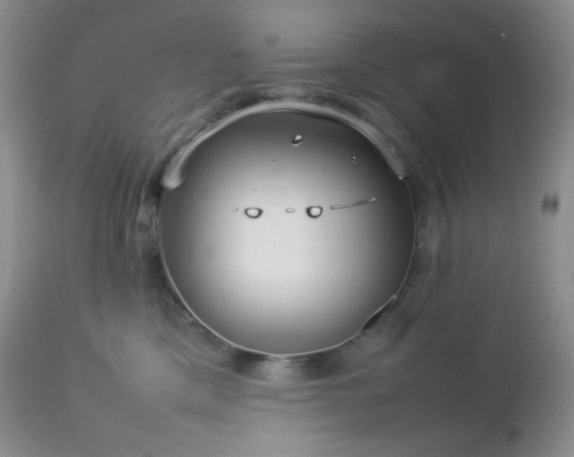 X0000112830425200908211221