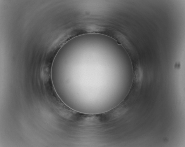 X0000112830426200908211221