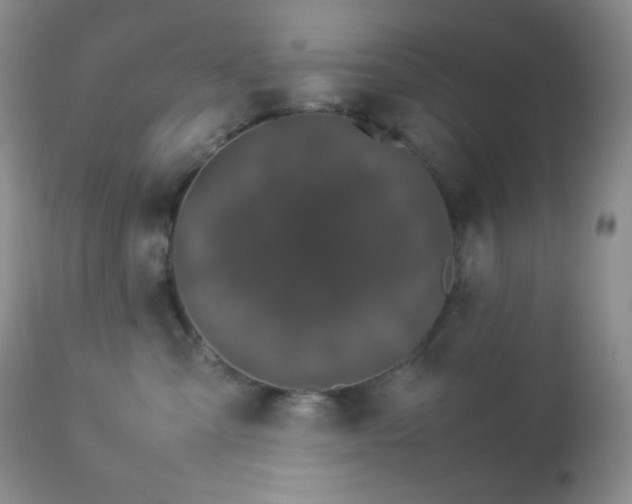 X0000112830427200908211221