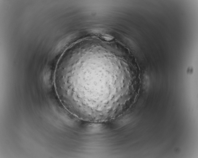 X0000112830428200908211221