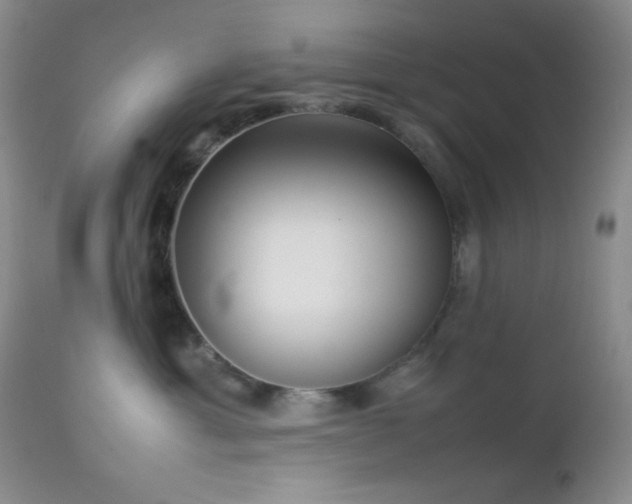 X0000112830429200908211221