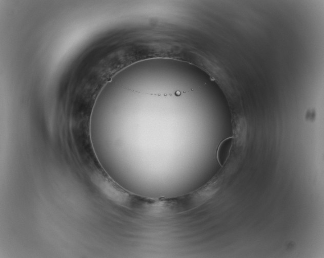 X0000112830430200908211221