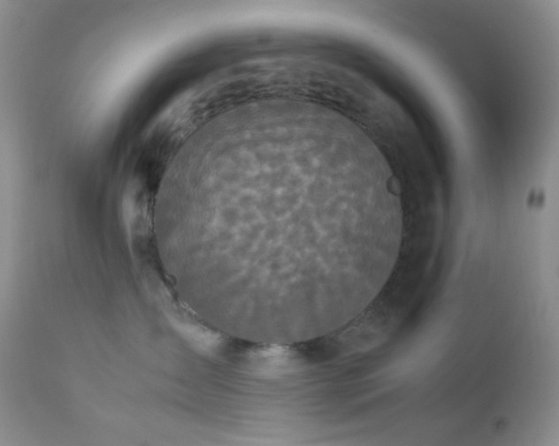 X0000112830431200908211221