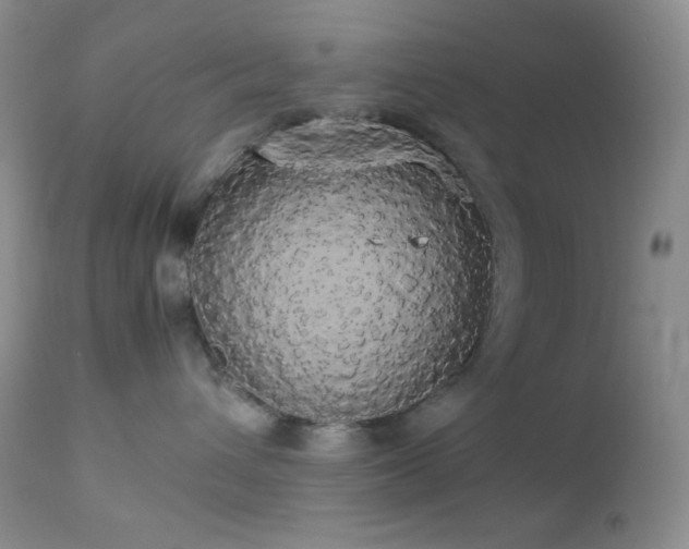 X0000112830432200908211221