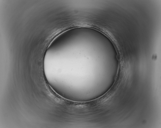 X0000112830433200908211220