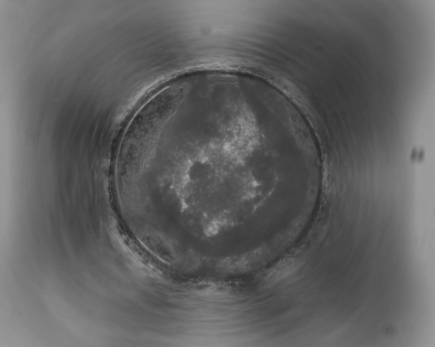 X0000112830434200908211220