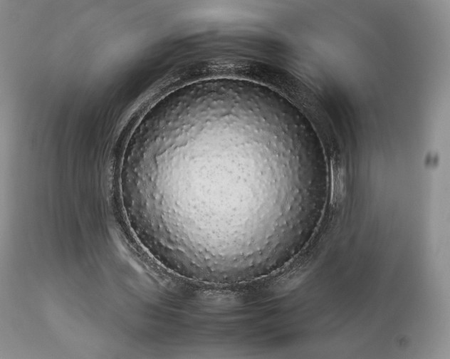 X0000112830435200908211220