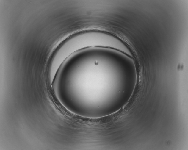 X0000112830436200908211220